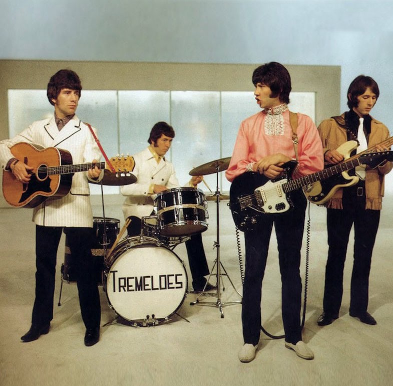 The Tremeloes – My little Lady (1968)